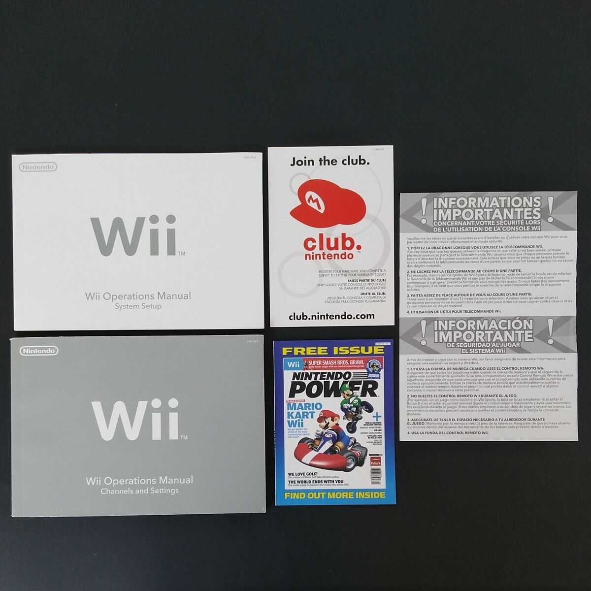 manual nintendo wii