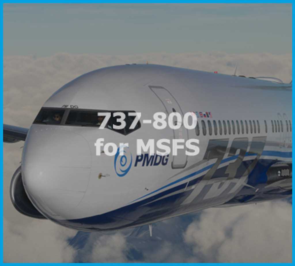 manual pmdg 737 ngx