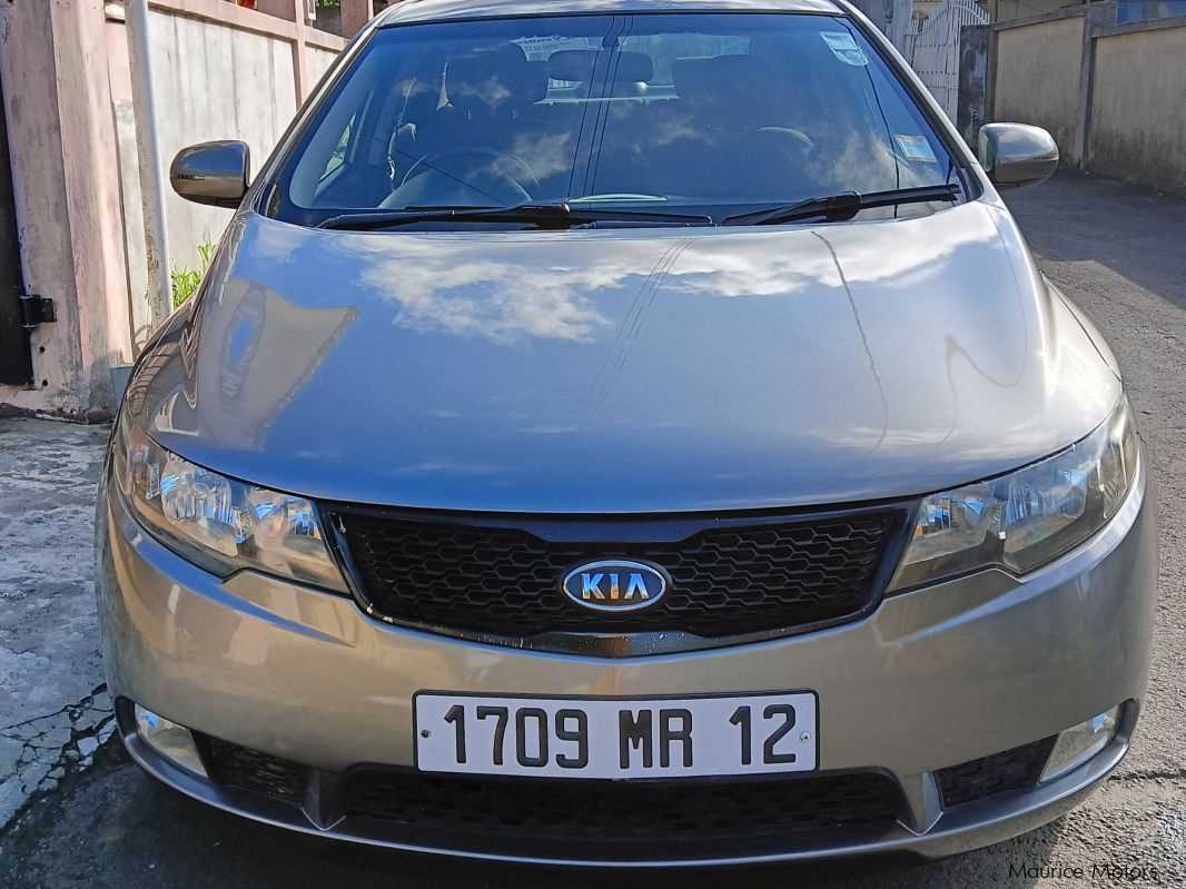manual kia cerato 2012
