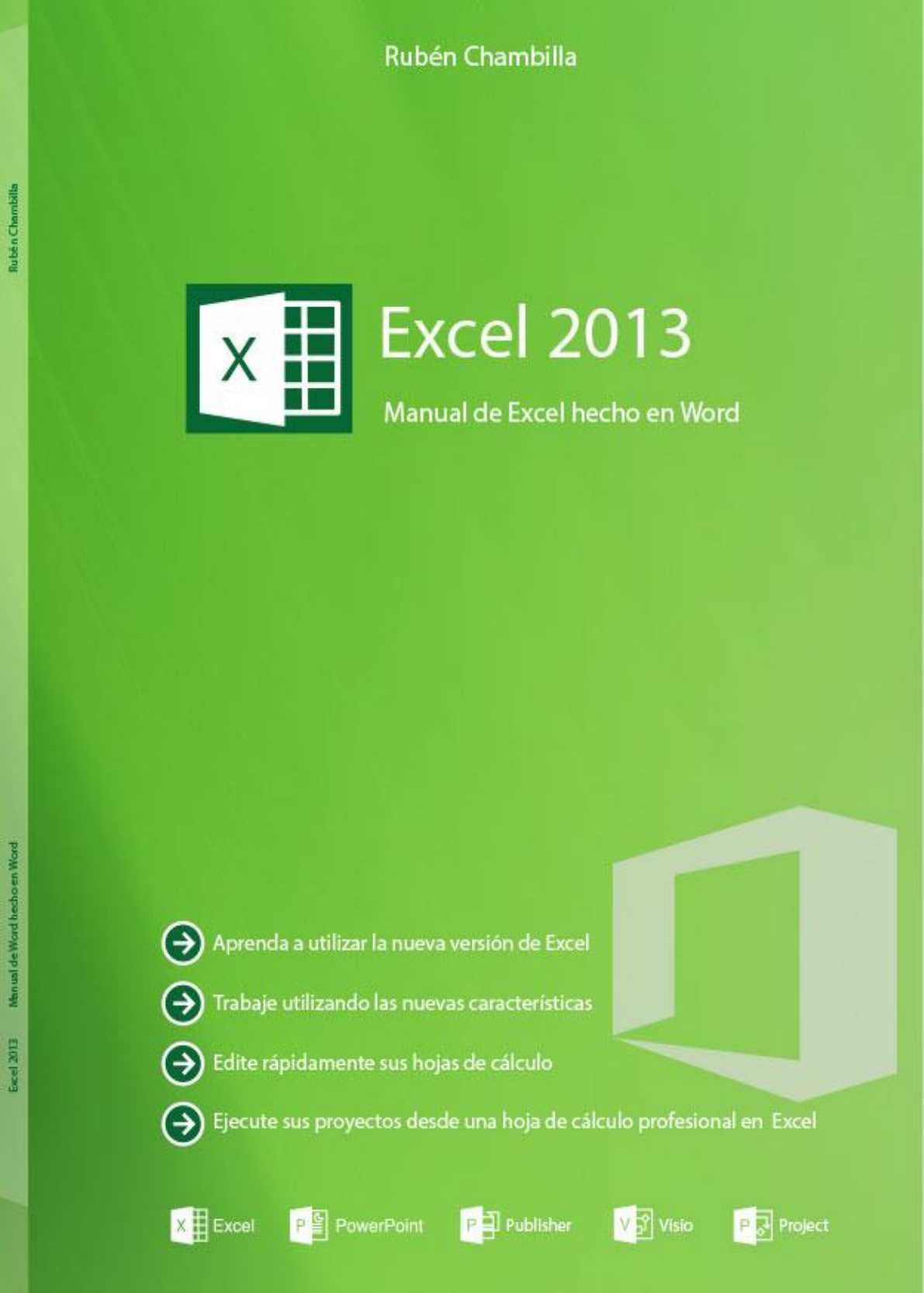 manual excel 2013