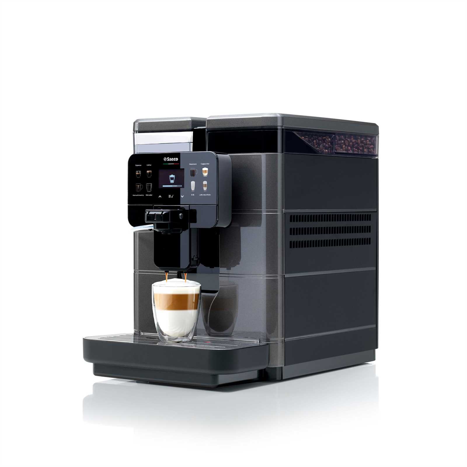 saeco royal professional manual