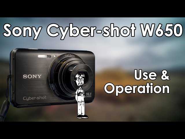 manual da maquina fotografica sony cyber shot