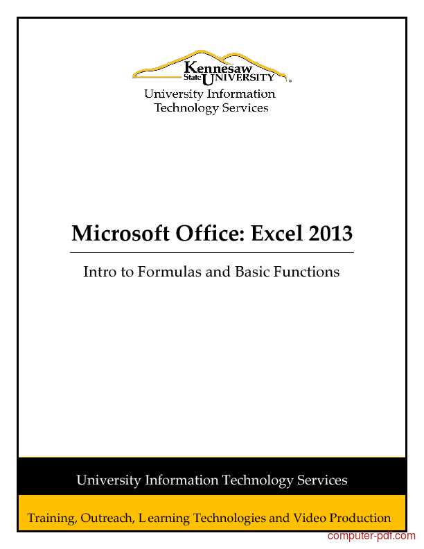 manual excel 2013