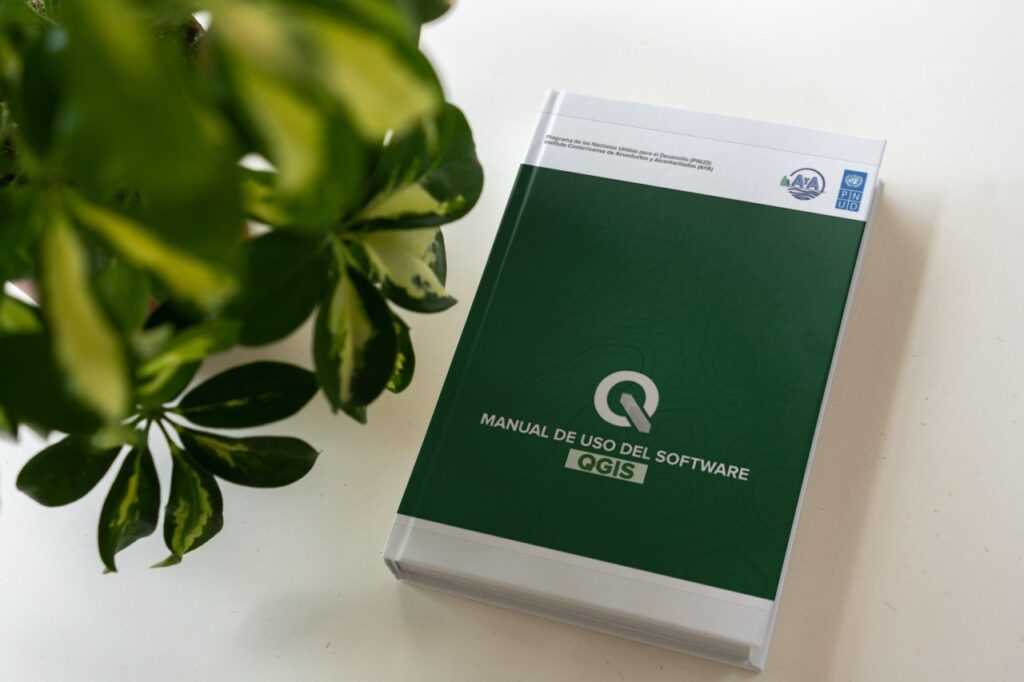 manual qgis