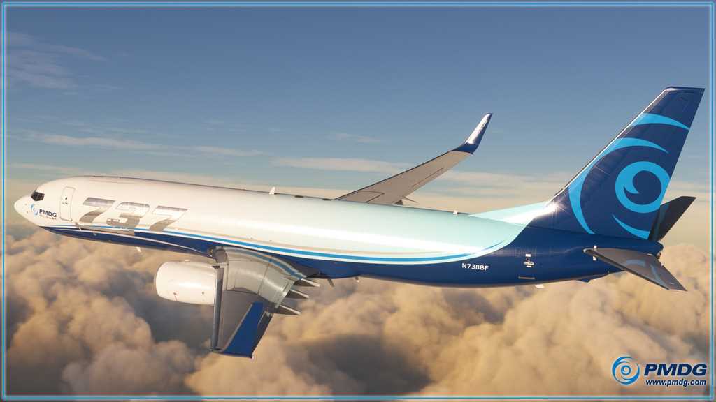 manual pmdg 737 ngx
